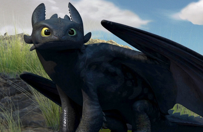 Image result for toothless photos