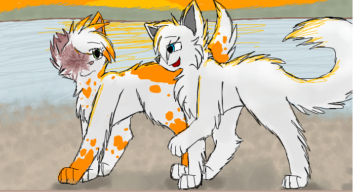 brightheart_and_cloudtail_by_warriorcatsunite-d4qqy71.png