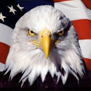 Image result for freedom eagle
