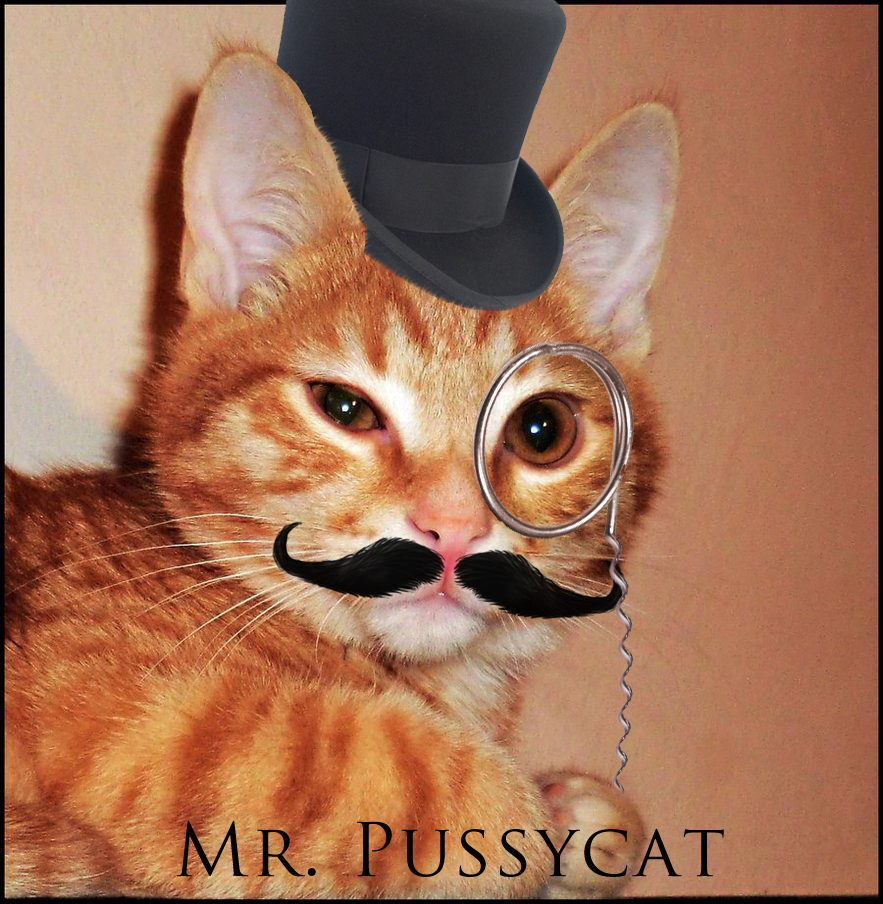 mr__pussycat_by_elbichopt-d4kz9r8.jpg