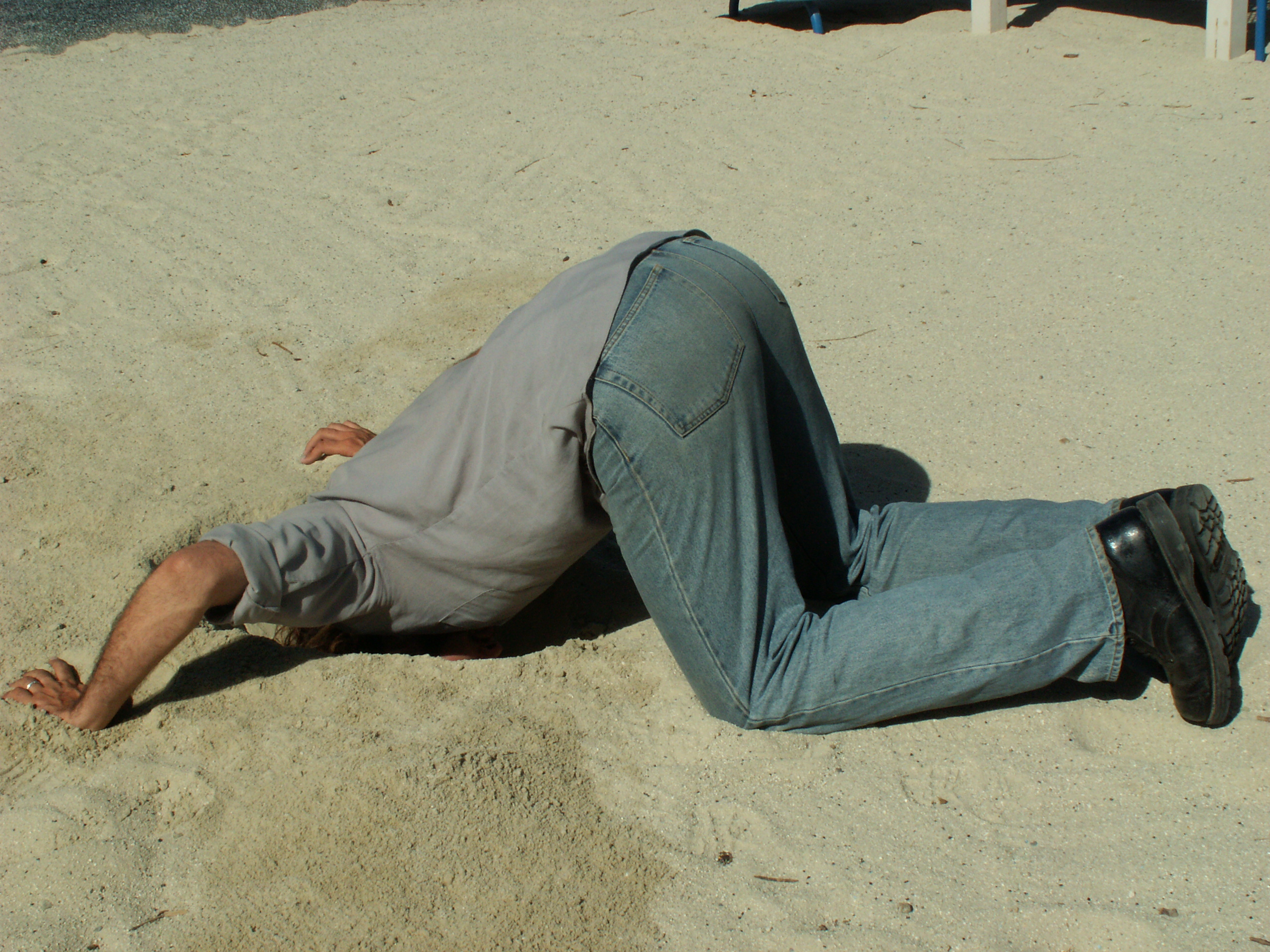 head_in_the_sand_by_ailinstock.jpg