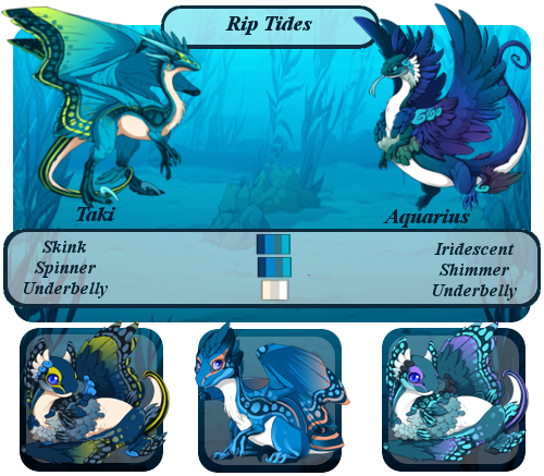aquarius_x_taki_breed_card__2__by_sea_goddess_cascade-dak1a4m.png