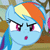 Rainbow Dash (what you see) plz