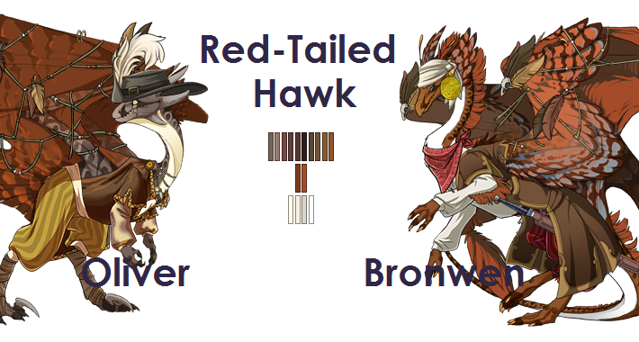 red_tailed_hawk_by_sketchyhaze-dal4qqs.png