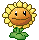PVZ2 Sunflower Icon