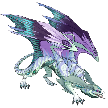 dragon__6__by_cynderplayer-dat1ryp.png