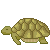 Tortoise