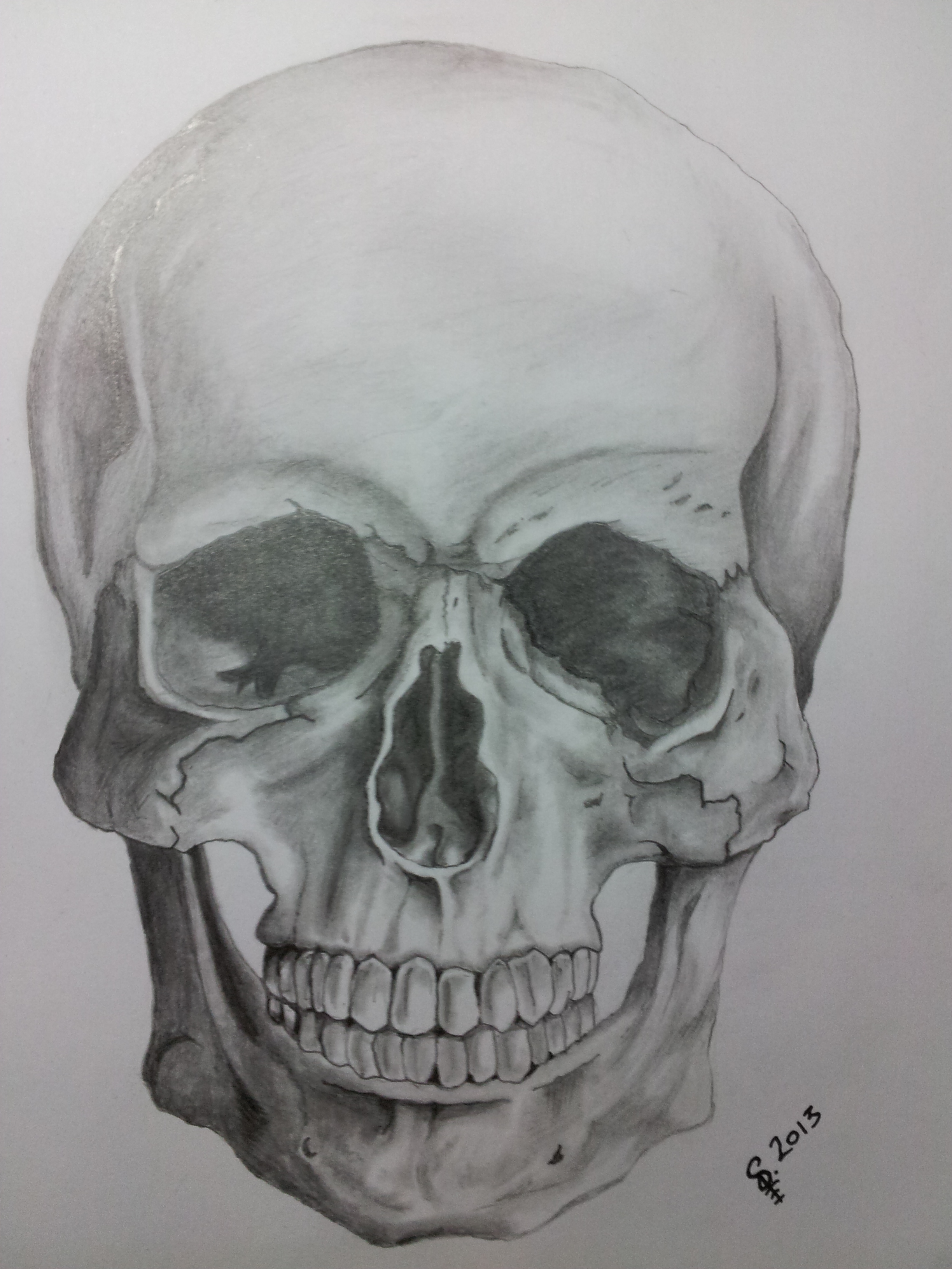 Skull pencil sketch by ItchyBear on DeviantArt
